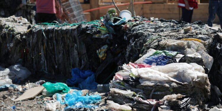 Promueven un innovador modelo para la gestión y el procesamiento de residuos orgánicos en el Mercado Cardonal de Valparaíso.