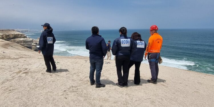 Detenido uno de los supuestos responsables de un violento homicidio en Antofagasta: es primo de la víctima.