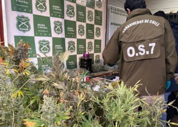 Desmantelan banda delictiva en Valdivia: Ocho arrestados y se confiscan armas y drogas.