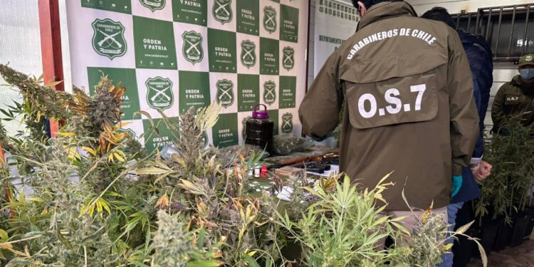 Desmantelan banda delictiva en Valdivia: Ocho arrestados y se confiscan armas y drogas.