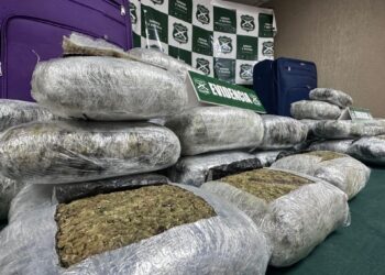 Confiscan más de 42 kilos de marihuana en un operativo policial en Nogales: hay dos detenidos.