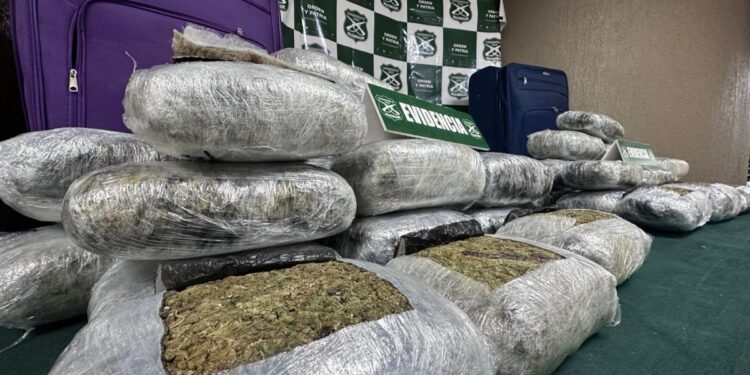 Confiscan más de 42 kilos de marihuana en un operativo policial en Nogales: hay dos detenidos.