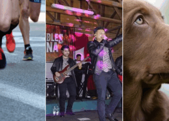 ¡Actividades para disfrutar este fin de semana en la Provincia de Chacabuco!