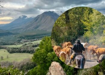 La provincia del Biobío festeja tras la elección de una localidad cordillerana entre las mejores del mundo.