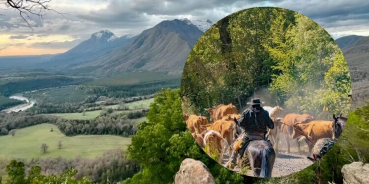 La provincia del Biobío festeja tras la elección de una localidad cordillerana entre las mejores del mundo.