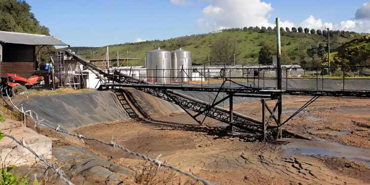 El Tribunal Ambiental confirma la multa millonaria impuesta a la planta de aceite.