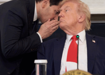 Trump confirma la primer etapa del acuerdo de paz entre Israel y Hamás.