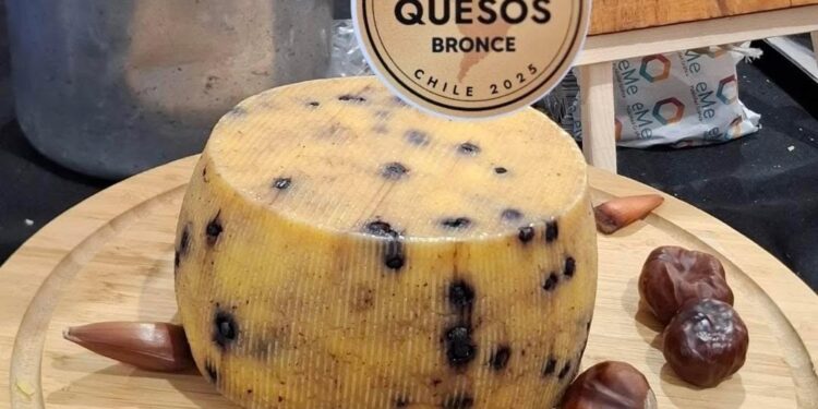 ¡Orgullo Maulino! Quesos de la Región Obtienen Medalla de Bronce en Concurso Internacional.