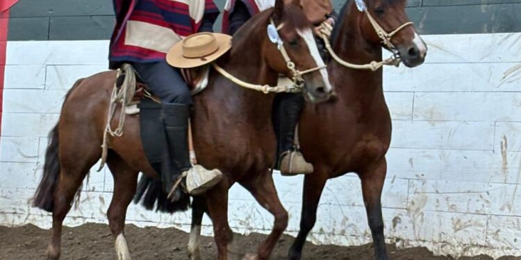 Emocionante Rodeo Primera: Baraona y Leiva Triunfaron en San Clemente