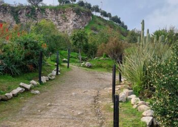 La Fundación Fénika te invita a disfrutar del “Día de los Cerros 2025”.