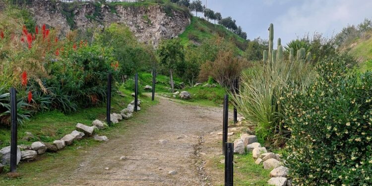 La Fundación Fénika te invita a disfrutar del “Día de los Cerros 2025”.