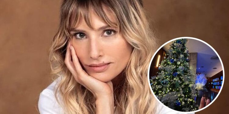 Falló en el caso de María Elena Swett vuelve a poner en la mesa el tema de la Violencia Vicaria y los lazos familiares.