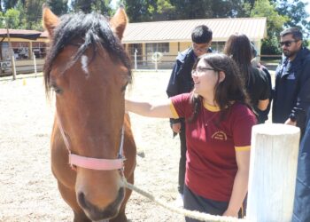 Molina fomenta el bienestar escolar a través de la equinoterapia.