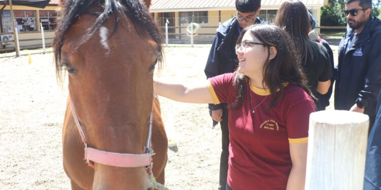 Molina fomenta el bienestar escolar a través de la equinoterapia.