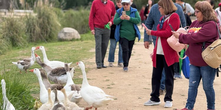 Adultos mayores de Pelarco realizan un recorrido por el Jardín Botánico.