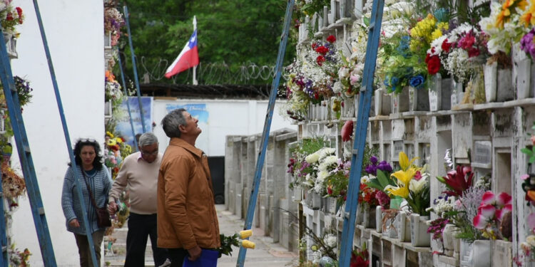 Día de Todos los Santos: Consulta los horarios de las misas en la Diócesis de Talca.