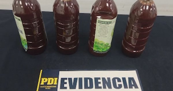 Detienen a brasileños en el aeropuerto de Santiago por intentar entrar ayahuasca.