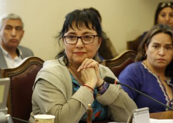 Carolina Marzán denuncia a Servel por restricciones a personas con discapacidad.