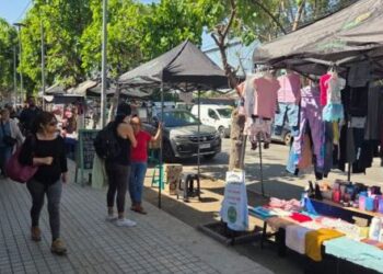 Colina reorganiza el comercio en la avenida Concepción.