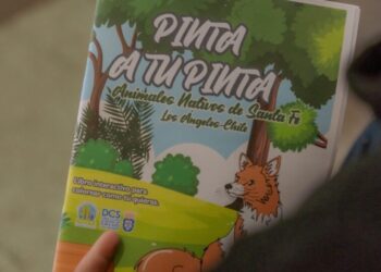CESFAM Rural de Los Ángeles publica un libro infantil sobre animales de la localidad.