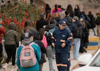 La alcaldesa Ripamonti invitó a unirse al simulacro masivo de terremoto y tsunami en Viña del Mar.
