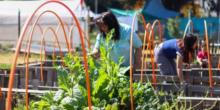 Huerto comunitario de la Villa «Rinconada de Nos» recibe respaldo de la municipalidad.