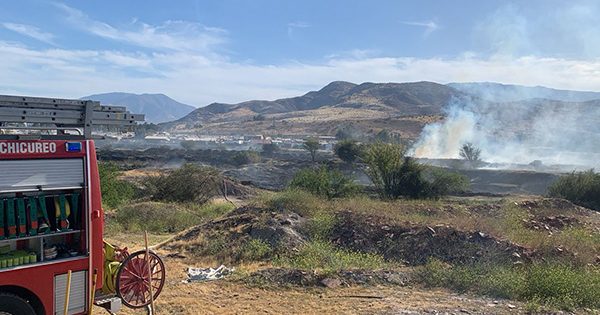 [AHORA] Incendio forestal en Batuco activa a los equipos de emergencia.