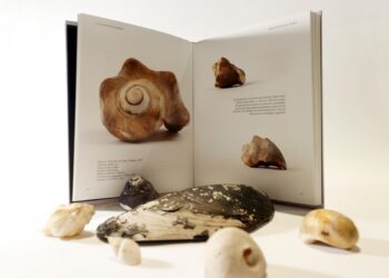 U de Chile publica libro bilingüe sobre las caracolas de Pablo Neruda.