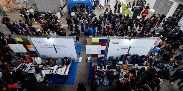 Más de 6 mil personas se han inscrito.