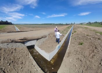 Eficiencia Hídrica en el Maule Sur: Inversión de $1.500 Millones Beneficia Canales Esenciales.