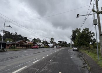 Los pórticos de lectura de patentes no satisfacen los requisitos establecidos – LAVOZDEPUCON