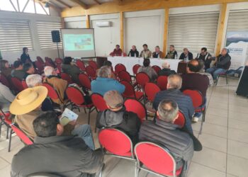 Regantes del Longaví advierten sobre un déficit de agua para esta temporada.