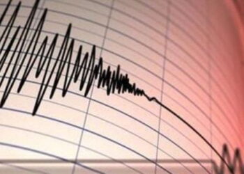 Se sintió un temblor fuerte en el norte del país: llegó hasta la Región Metropolitana.