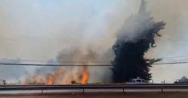 [Colina] Incendio en pastizales lleva a Bomberos al sector poniente de la autopista Los Libertadores.
