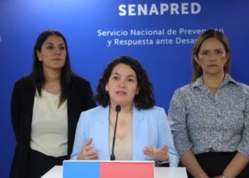 Gobierno lanza FIBE Digital: la nueva ficha de emergencia.