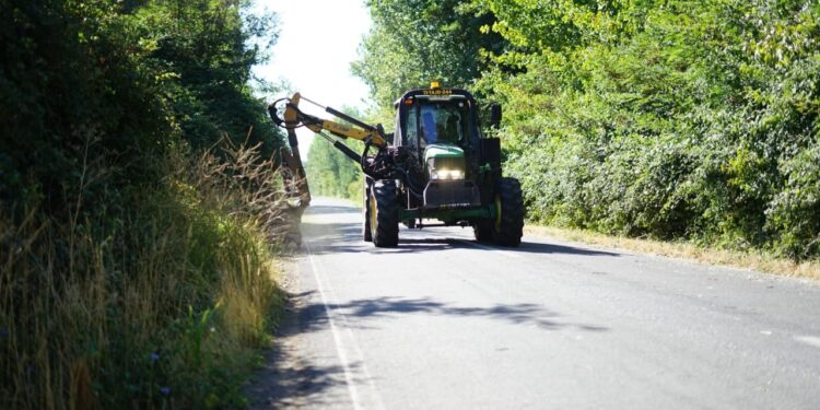 Operativo conjunto limpia rutas rurales en el Maule ante la amenaza de incendios forestales.