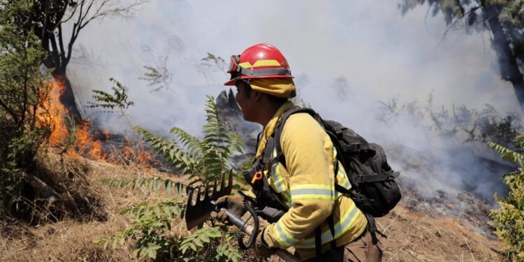 Valparaíso implementa capacitaciones comunitarias para prevenir incendios forestales.