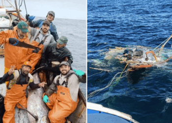 Caso Bruma: formalizarán a tripulantes del Cobra por homicidio culposo y a la empresa Blumar.