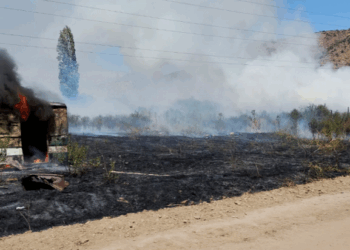 Incendio forestal en Lo Herrera provoca gran movilización de Bomberos.