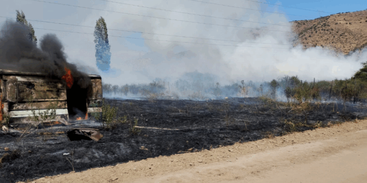 Incendio forestal en Lo Herrera provoca gran movilización de Bomberos.