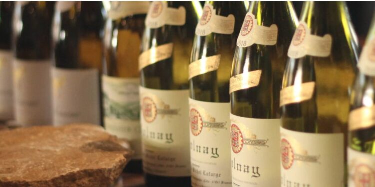 La tremenda fiesta del vino en Borgoña.