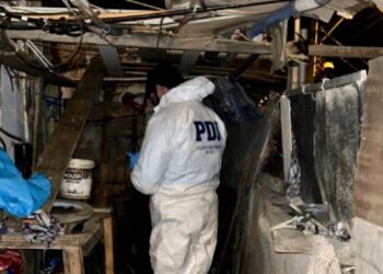 Hombre de 82 años fue encarcelado de manera preventiva tras matar y descuartizar a su hermano de 75 en la villa Dominante de Coquimbo.