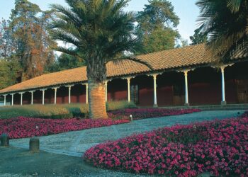 Forbes nombra a Viña Santa Rita como la mejor del mundo.