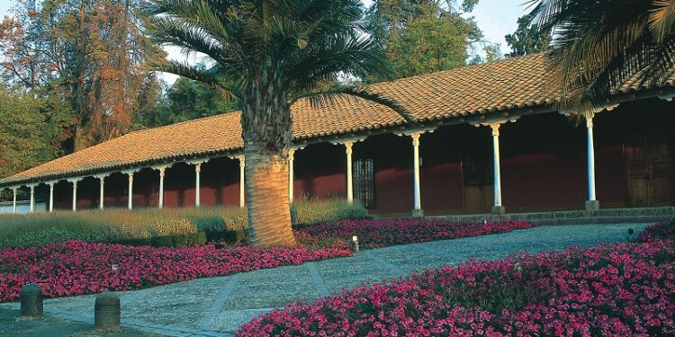 Forbes nombra a Viña Santa Rita como la mejor del mundo.