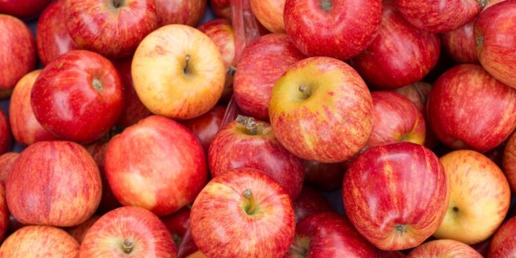 Certificación electrónica para el comercio agrícola en Chile.