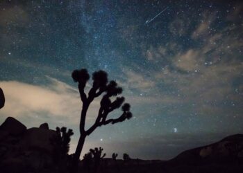 Leónidas 2025: fecha, horario y recomendaciones para ver la lluvia de estrellas que deslumbrará en noviembre.