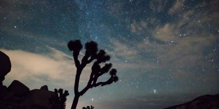 Leónidas 2025: fecha, horario y recomendaciones para ver la lluvia de estrellas que deslumbrará en noviembre.