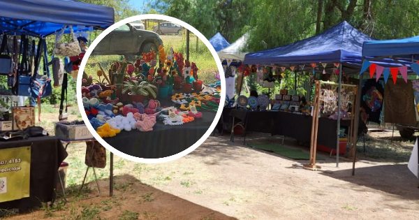 Ecoferia del Humedal volverá a celebrarse en la Laguna de Batuco.