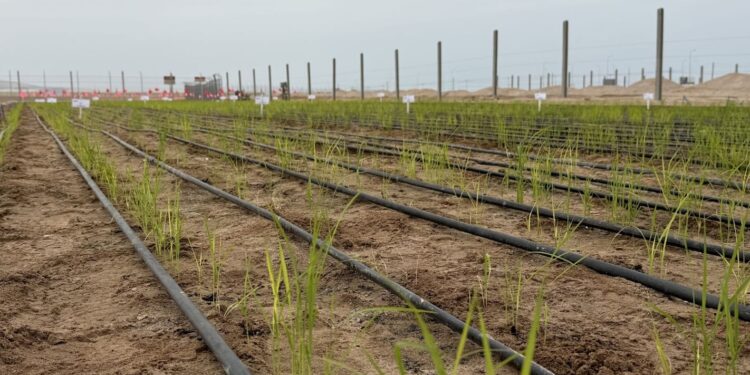 Menos fronteras naturales y nuevos retos en la agricultura chilena.