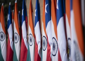 India da luz verde a envíos de fruta chilena con tratamiento de frío en el camino.